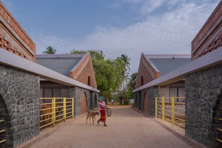 Gaughar Animal Husbandry